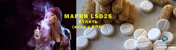 ECSTASY Богородицк